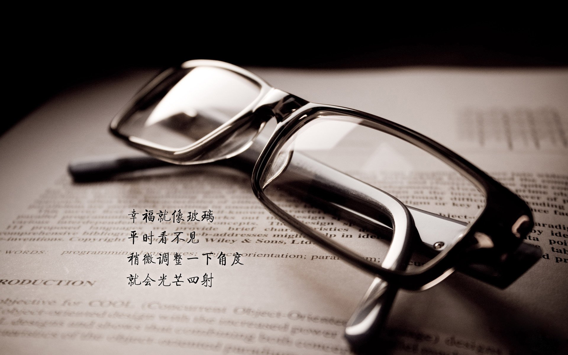 _冠军之战：历时多盘，精彩纷呈令人为之震撼_，冠军之巅节目
