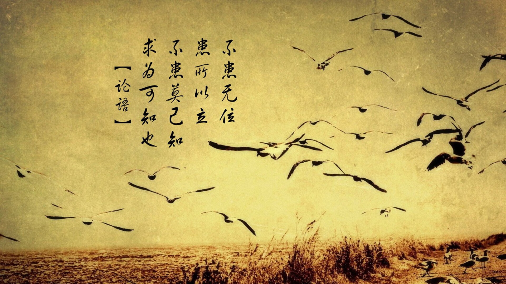 CBA球队防守战术调整策略，cba球队防守效率排名