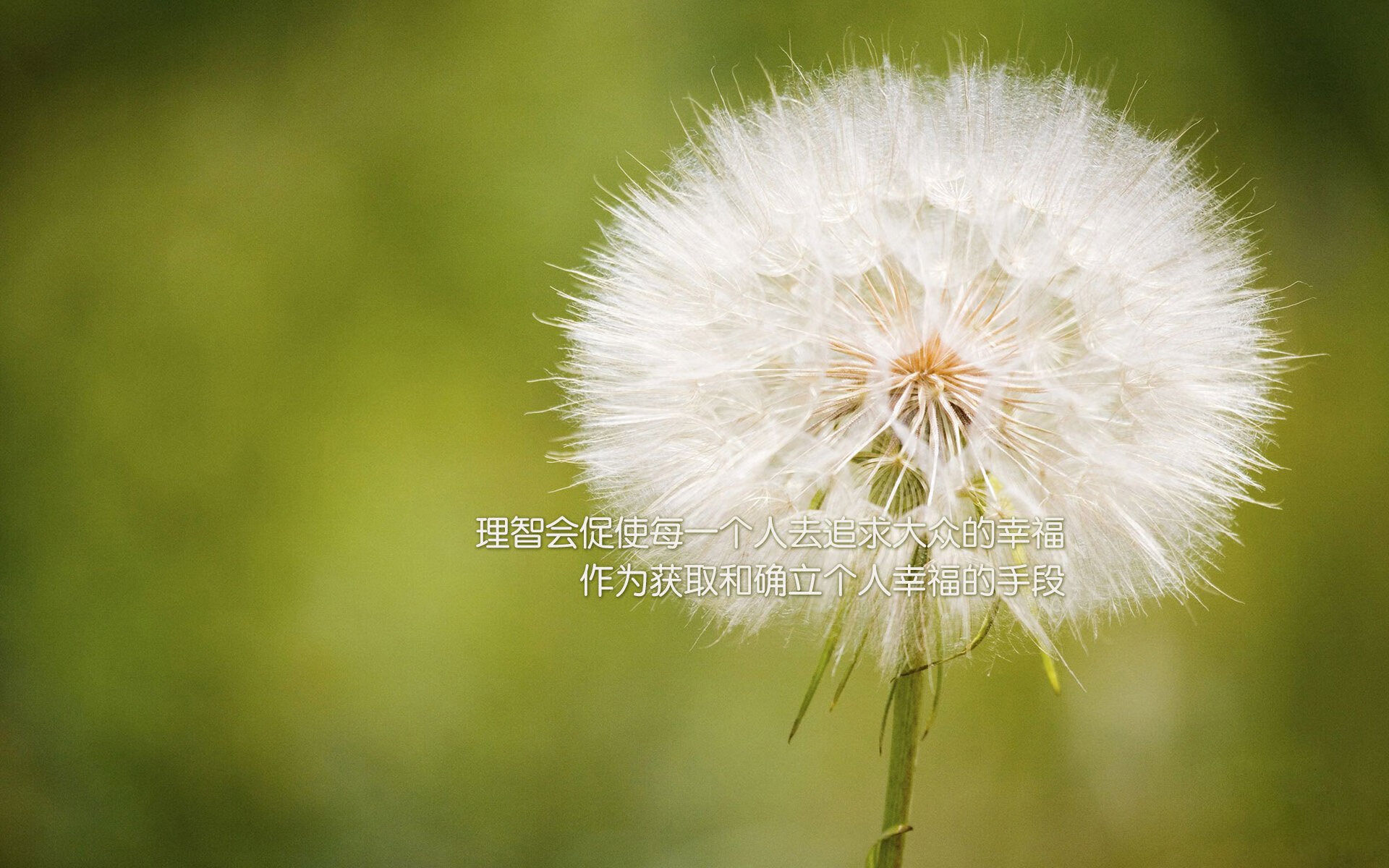 世俱杯决赛-CBA球队阵容深度优化方案，cba篮球队伍