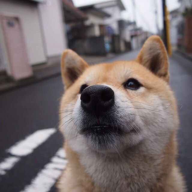 吉达联合积极备战亚冠赛事，吉达是哪里