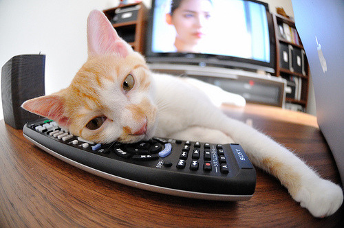 国足心理辅导是否成为常态化工作，国足心理辅导是否成为常态化工作制度