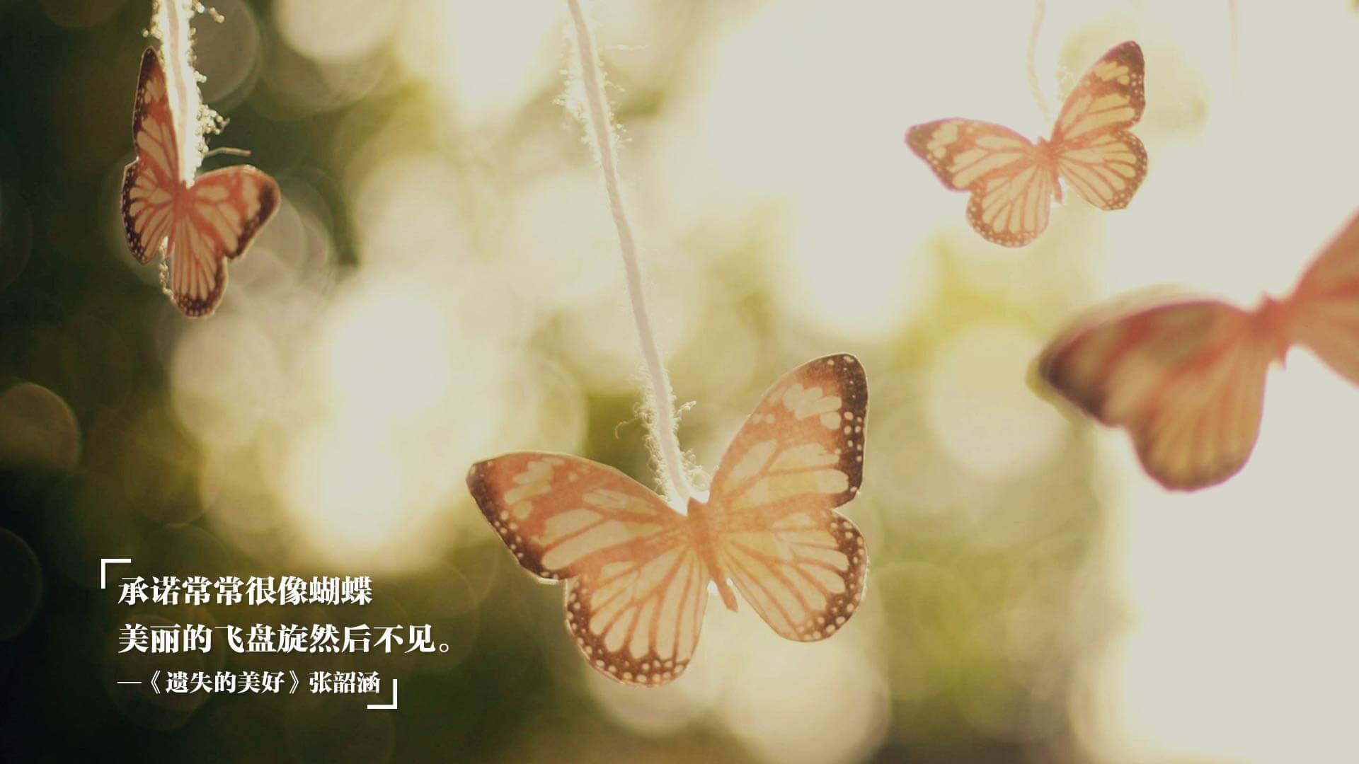 世俱杯足球赛事在线直播-埃及国家德比吸引全球媒体关注，德比im