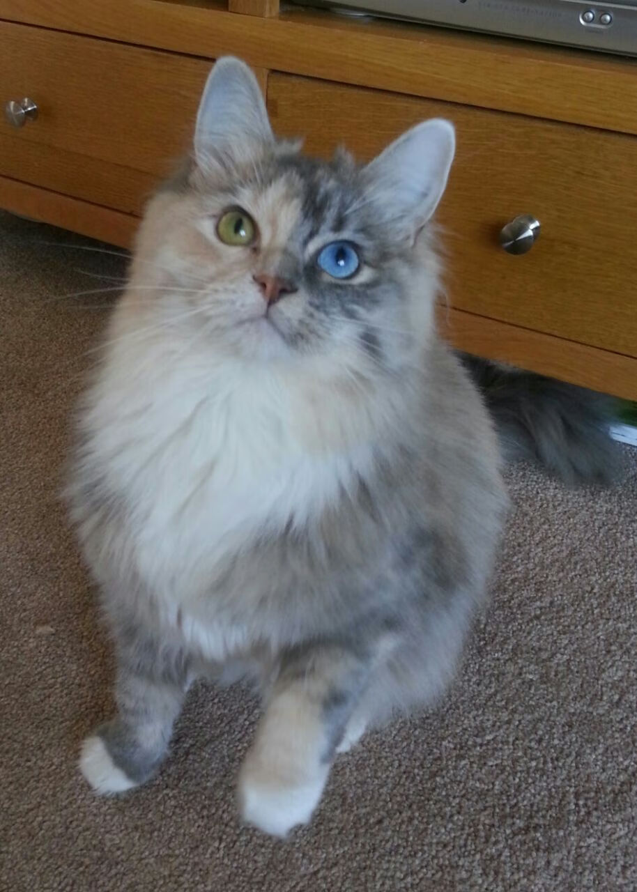 女足世界杯赛前热身赛成效显著，女足热身赛男足