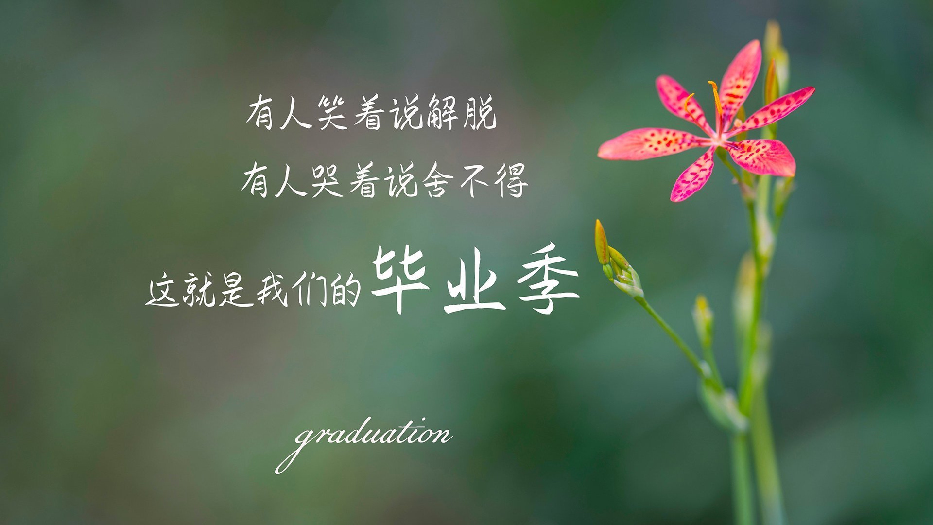 女足世界杯赛前热身赛成效显著，女足热身赛男足