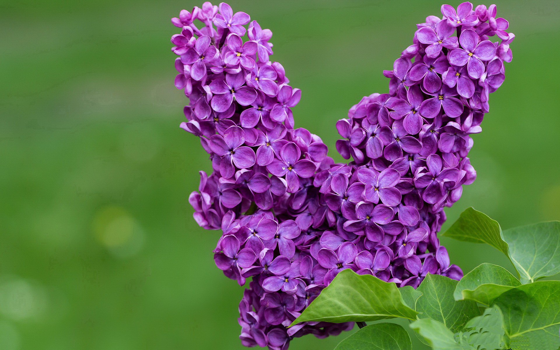 斯图加特队全员备战下一场比赛，力争全力争胜，斯图加特主场叫什么
