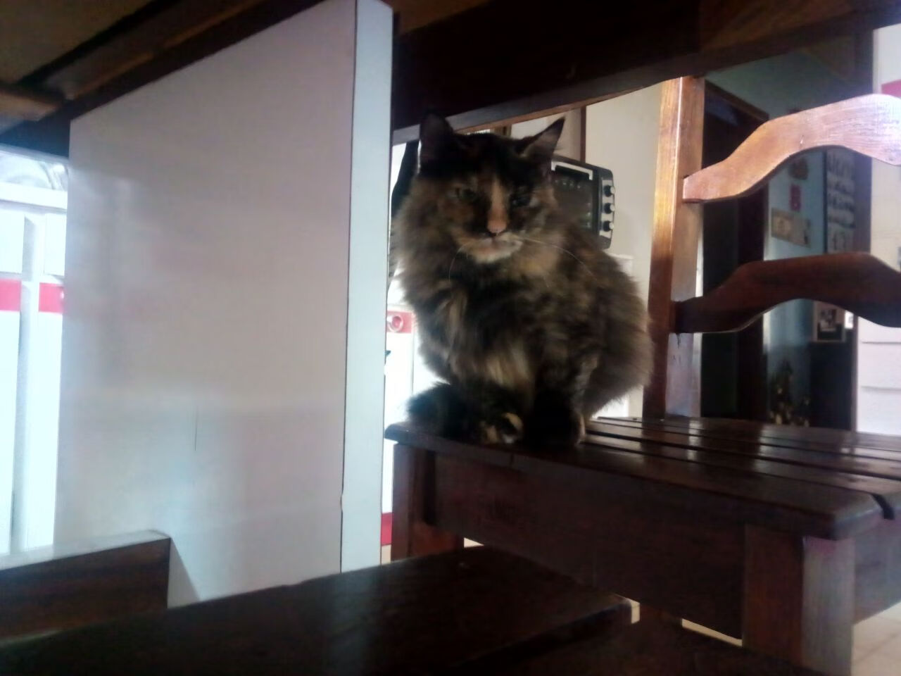 世俱杯直通-是否应赋予球员更多参与规则制定权，是否应赋予球员更多参与规则制定权的权利