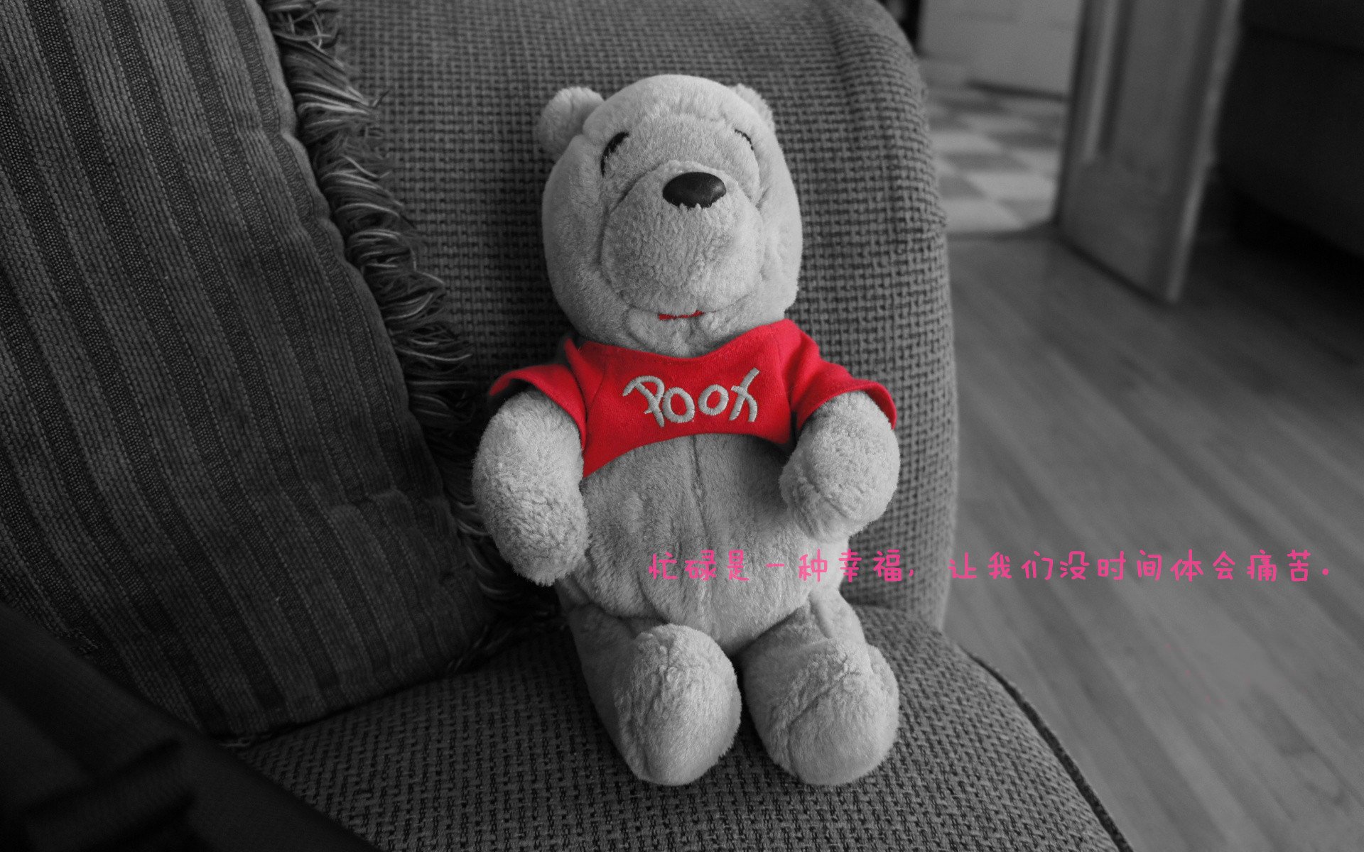 世界举重锦标赛中国女队包揽三金，世界举重锦标赛中国女队包揽三金是真的吗