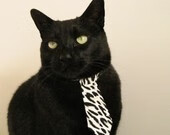 中国篮球联赛俱乐部品牌建设与粉丝忠诚度提升研究，国内篮球俱乐部