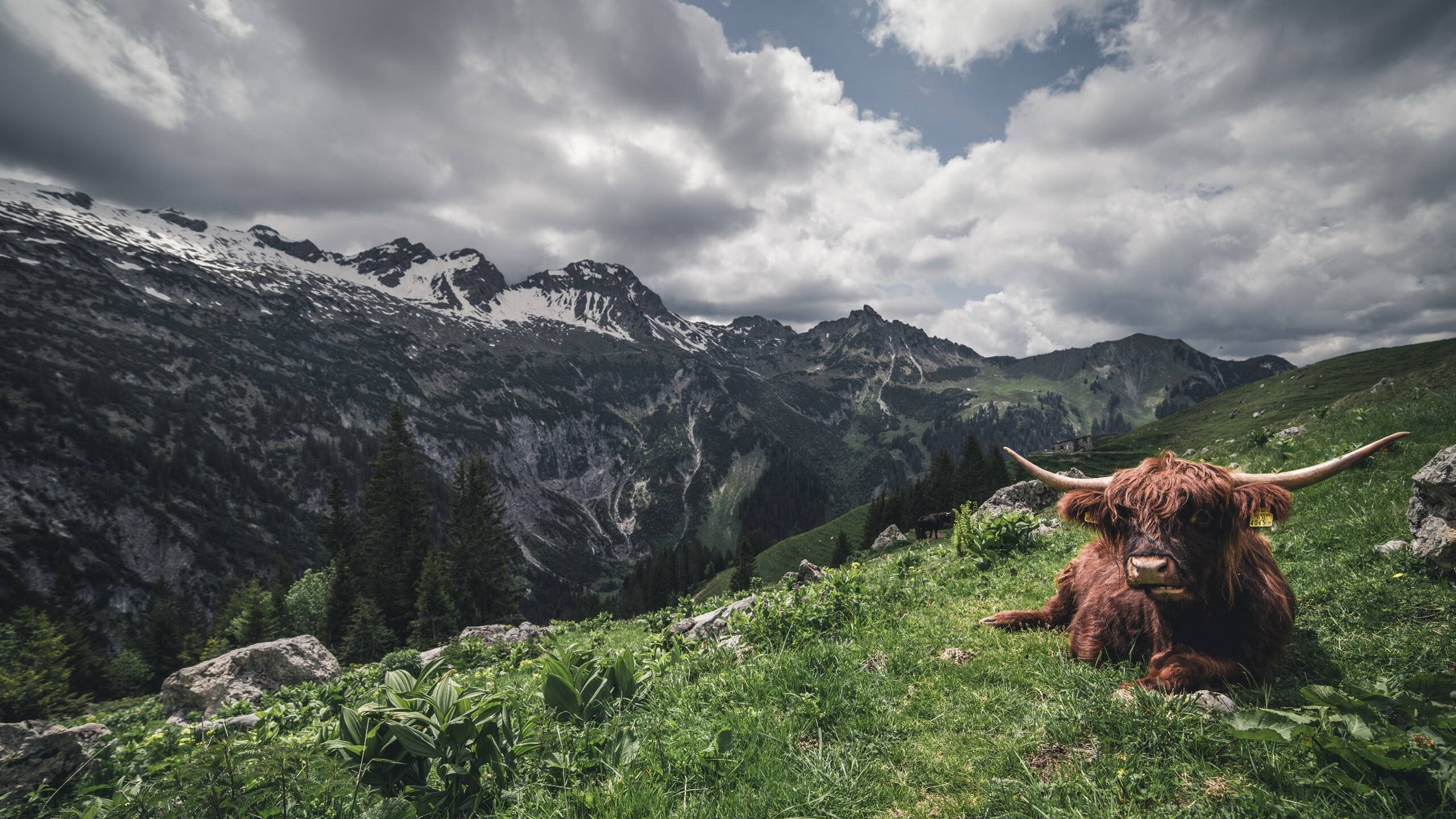 世俱杯入口-全国青少年水上漂移比赛精彩纷呈，全国青年水上运动会