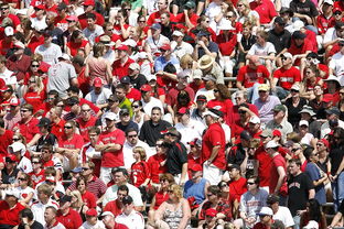 世俱杯足球-体育赛事观众满意度影响因素研究，体育赛事关注度