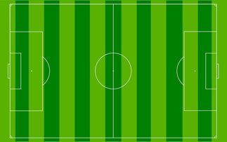 足球世界俱乐部杯直播-国足主场比赛战术布置与得分模型关联，国足阵容战术