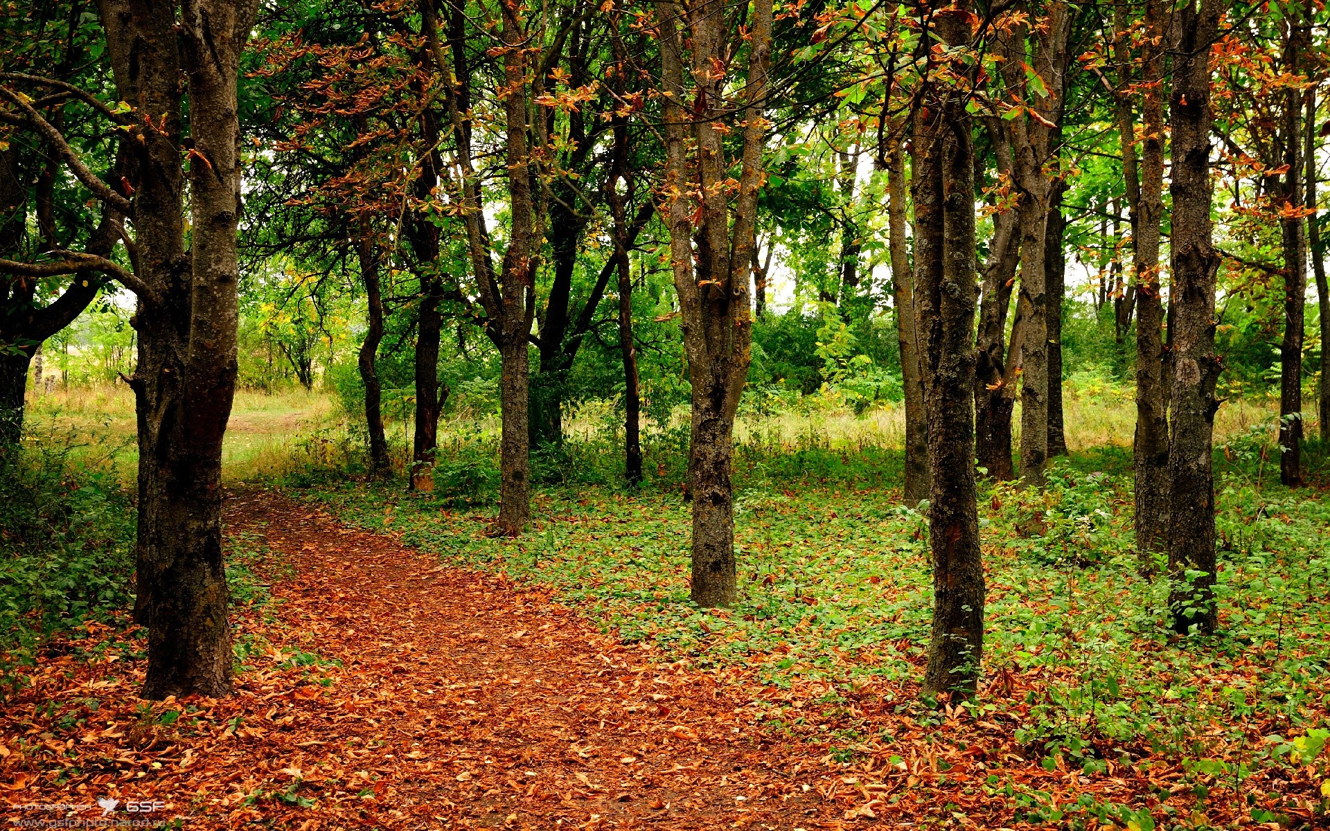 跨年比赛：如何影响球队的赛季布局，跨年比赛_如何影响球队的赛季布局和胜负