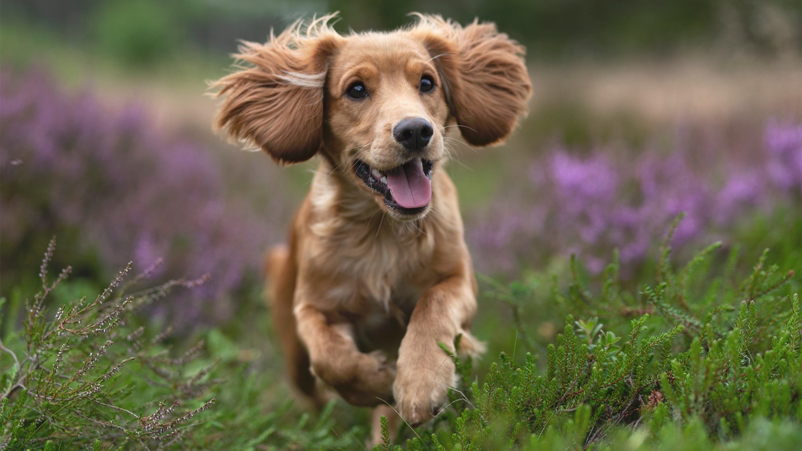 青少年体育人才培养计划，青少年体育训练计划