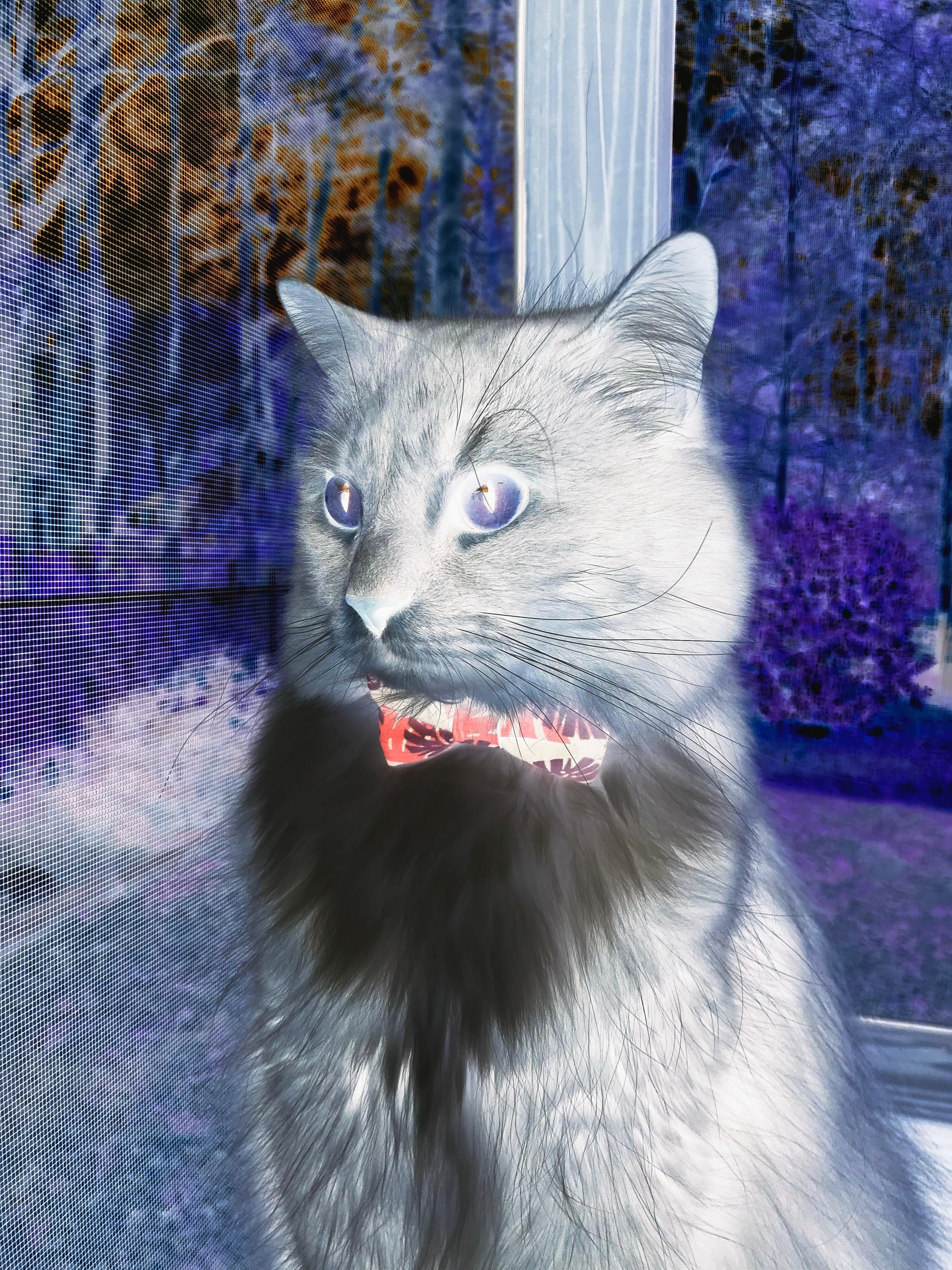 世界俱乐部杯-东亚杯中国足球平局 球员心态保持稳定，东亚杯国足成绩