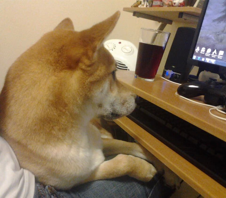 东亚杯中国女足复仇 球员拼劲赢得掌声，中国女足冲击东京奥运