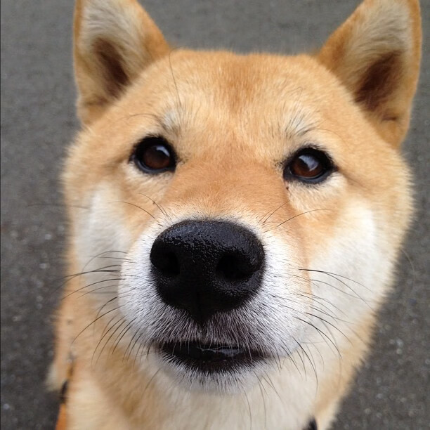 中国男篮提升进攻多样性打破对手防线,中国男篮虽败犹荣