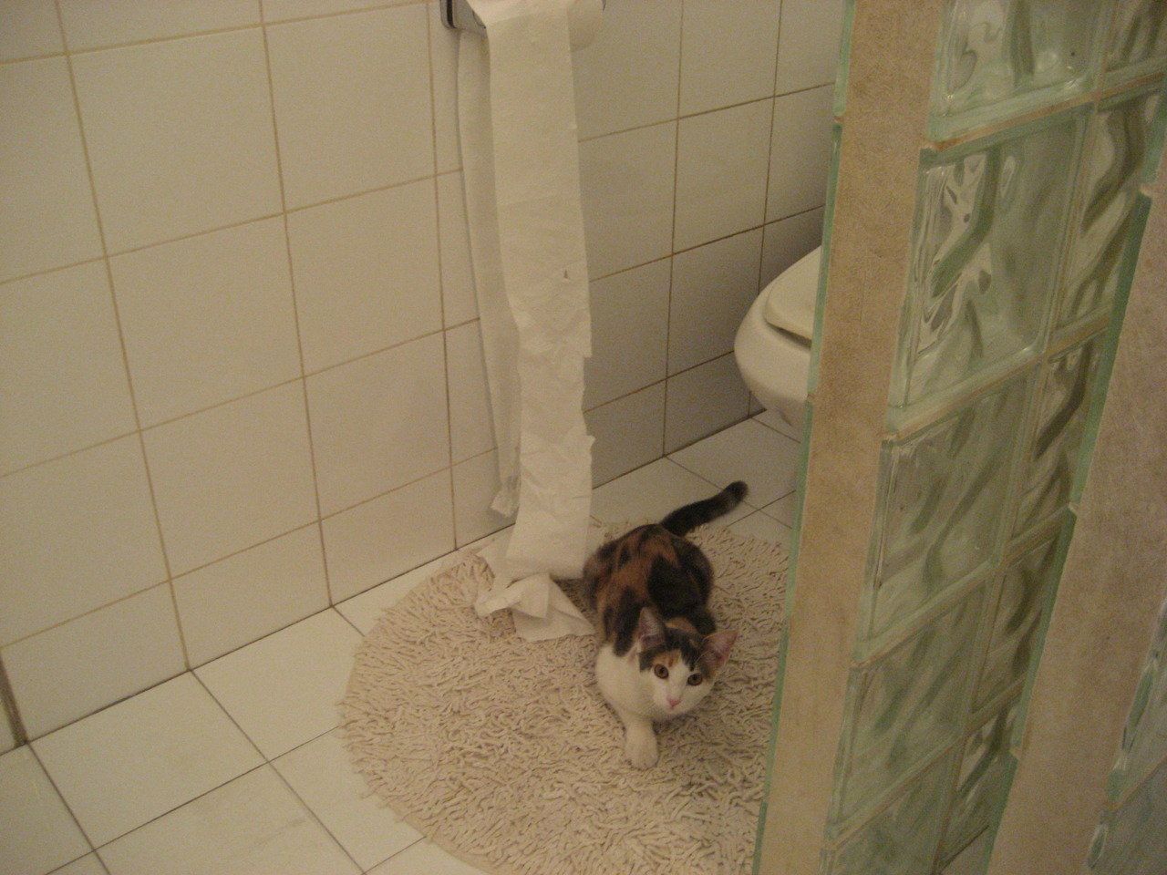 2025世俱杯-体育新闻中心主办体育传媒数据安全与隐私保护峰会，体育传播活动中新媒体使用情况调查报告